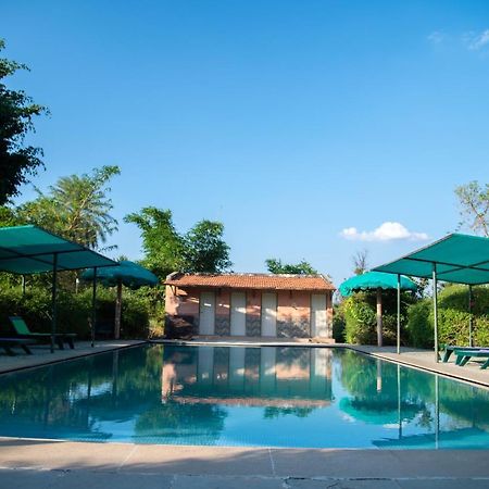The Mountain Retreat Hotell Tiruvannāmalai Eksteriør bilde