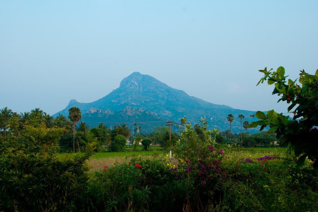 The Mountain Retreat Hotell Tiruvannāmalai Eksteriør bilde